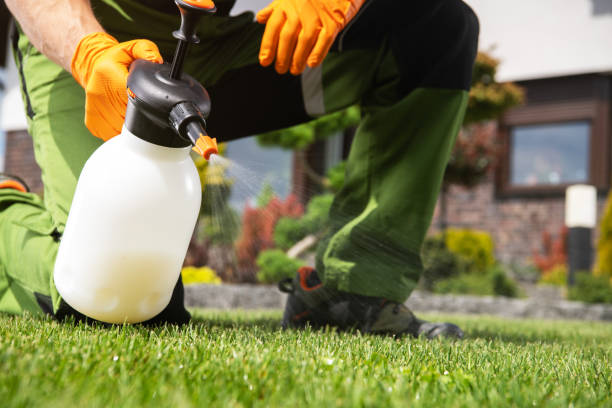 Best Commercial Pest Control Services  in Kirkland, WA
