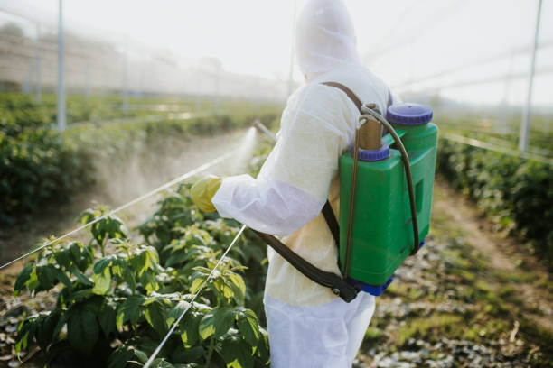 Pest Control for Restaurants in Kirkland, WA